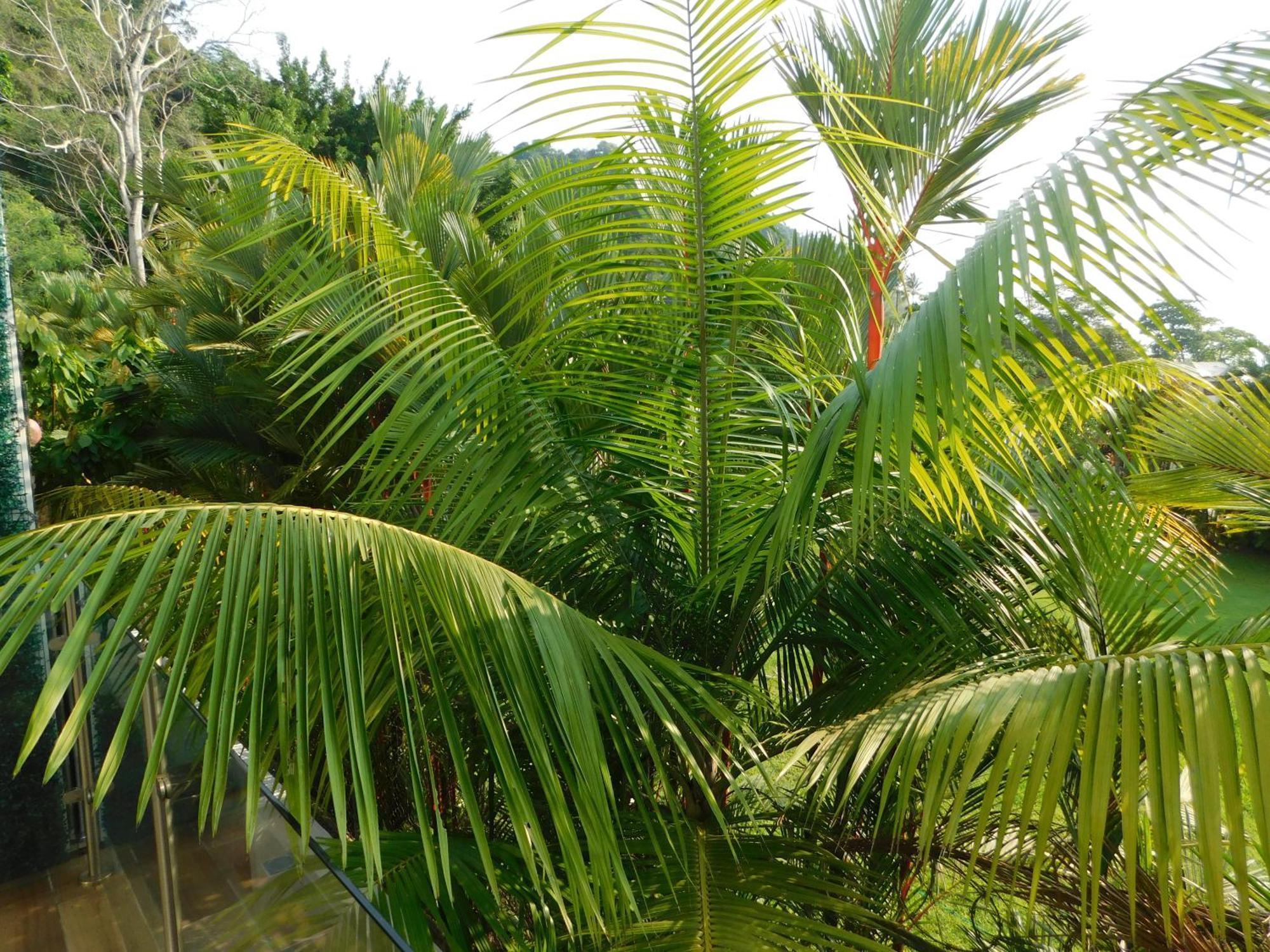 Sunset 205, Sleeps Six, Next Door To The Pool, 100M To The Beach! ハコ エクステリア 写真