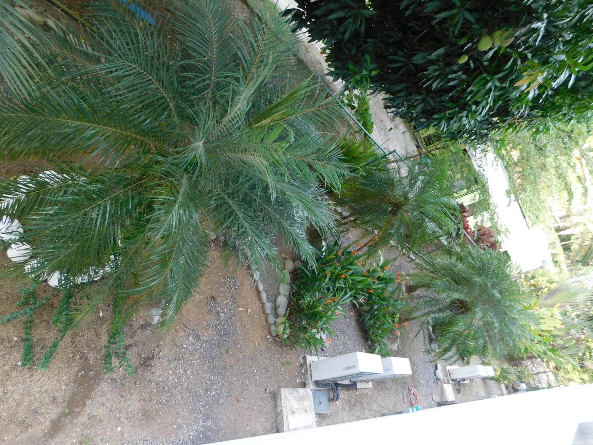 Sunset 205, Sleeps Six, Next Door To The Pool, 100M To The Beach! ハコ エクステリア 写真